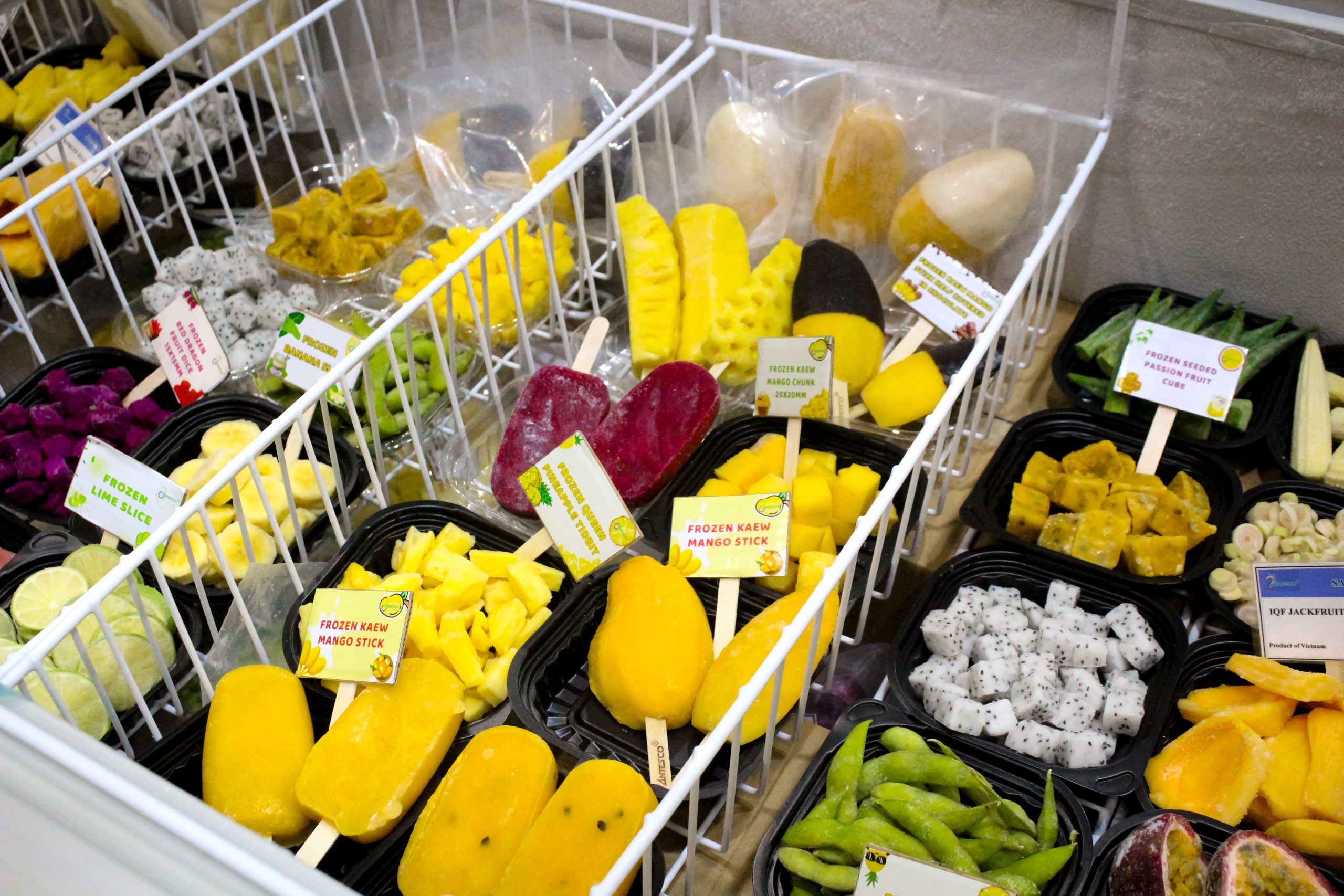 Khu vực trưng bày danh mục sản phẩm rau củ quả đông lạnh của Antesco